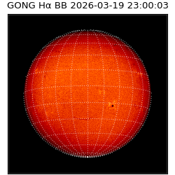 gong - 2026-03-19T23:00:03