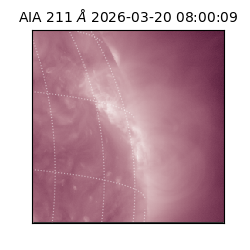 saia - 2026-03-20T08:00:09.631000