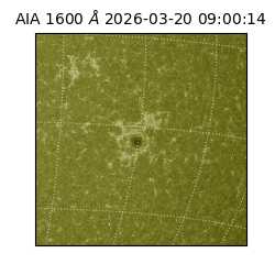 saia - 2026-03-20T09:00:14.124000