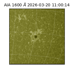 saia - 2026-03-20T11:00:14.123000