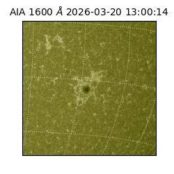 saia - 2026-03-20T13:00:14.123000