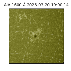 saia - 2026-03-20T19:00:14.124000