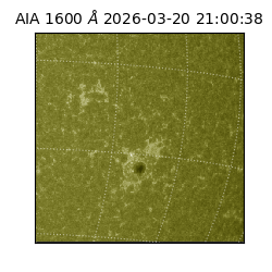 saia - 2026-03-20T21:00:38.123000