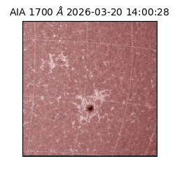 saia - 2026-03-20T14:00:28.449000