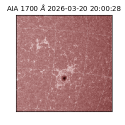 saia - 2026-03-20T20:00:28.446000