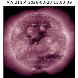 saia - 2026-03-20T11:00:09.632000