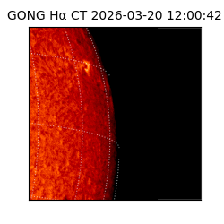 gong - 2026-03-20T12:00:42