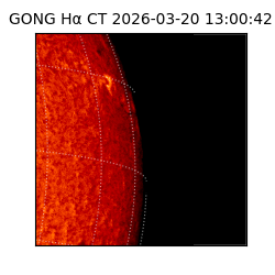 gong - 2026-03-20T13:00:42