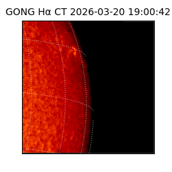 gong - 2026-03-20T19:00:42