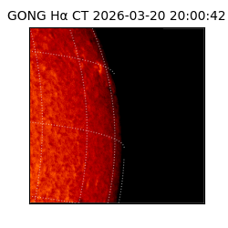 gong - 2026-03-20T20:00:42