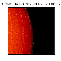 gong - 2026-03-20T23:00:02