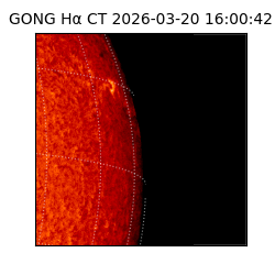 gong - 2026-03-20T16:00:42