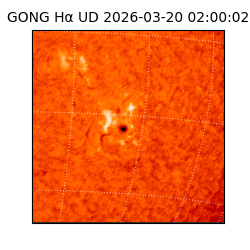 gong - 2026-03-20T02:00:02