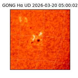 gong - 2026-03-20T05:00:02