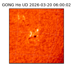 gong - 2026-03-20T06:00:02