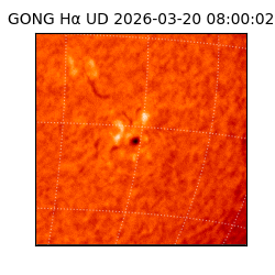 gong - 2026-03-20T08:00:02