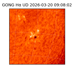 gong - 2026-03-20T09:08:02