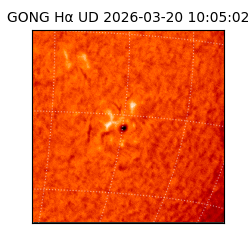 gong - 2026-03-20T10:05:02