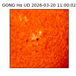 gong - 2026-03-20T11:00:02