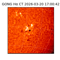 gong - 2026-03-20T17:00:42