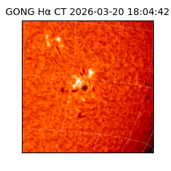 gong - 2026-03-20T18:04:42