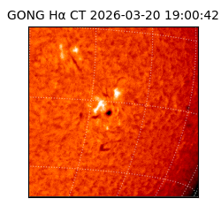 gong - 2026-03-20T19:00:42