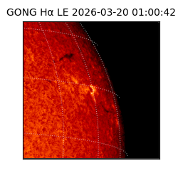 gong - 2026-03-20T01:00:42