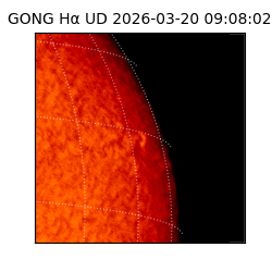 gong - 2026-03-20T09:08:02