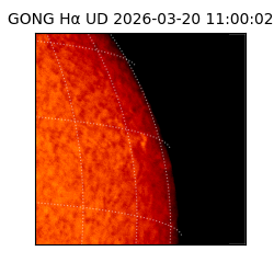 gong - 2026-03-20T11:00:02