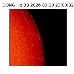 gong - 2026-03-20T23:00:02