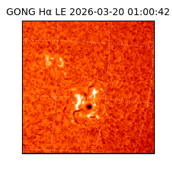 gong - 2026-03-20T01:00:42