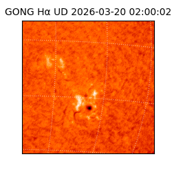 gong - 2026-03-20T02:00:02