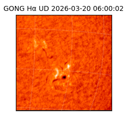 gong - 2026-03-20T06:00:02