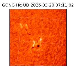 gong - 2026-03-20T07:11:02