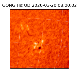 gong - 2026-03-20T08:00:02