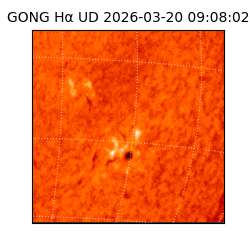 gong - 2026-03-20T09:08:02