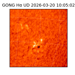 gong - 2026-03-20T10:05:02