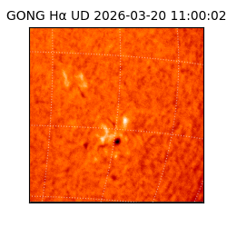 gong - 2026-03-20T11:00:02