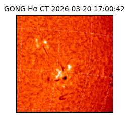 gong - 2026-03-20T17:00:42