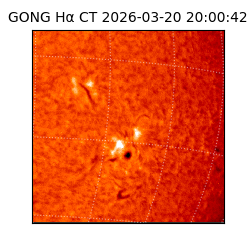 gong - 2026-03-20T20:00:42