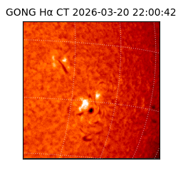 gong - 2026-03-20T22:00:42