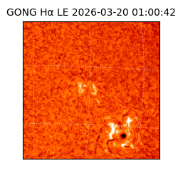 gong - 2026-03-20T01:00:42