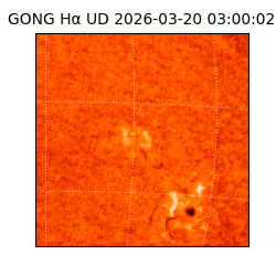 gong - 2026-03-20T03:00:02