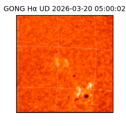 gong - 2026-03-20T05:00:02