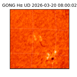 gong - 2026-03-20T08:00:02