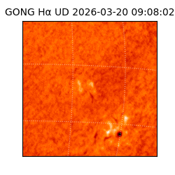 gong - 2026-03-20T09:08:02