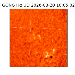 gong - 2026-03-20T10:05:02