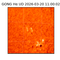 gong - 2026-03-20T11:00:02