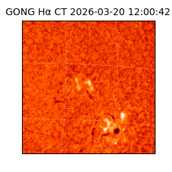 gong - 2026-03-20T12:00:42