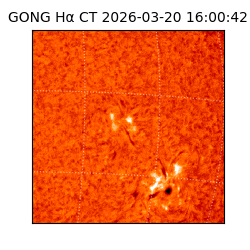 gong - 2026-03-20T16:00:42